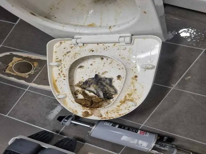 배곧 물티슈를 변기에 버리면 안 되는 이유