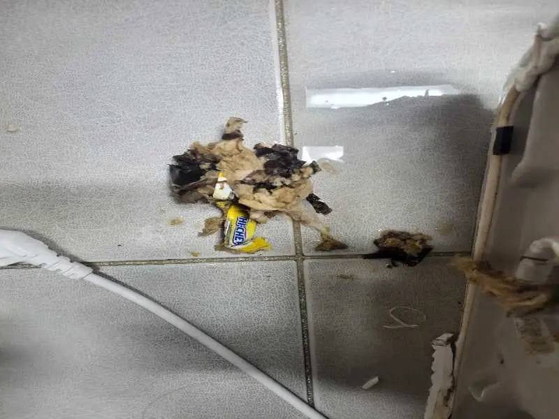 배곧 변기 이물질 제거 사례 5